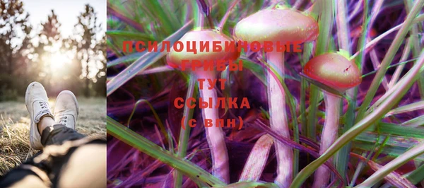 спайс Абинск