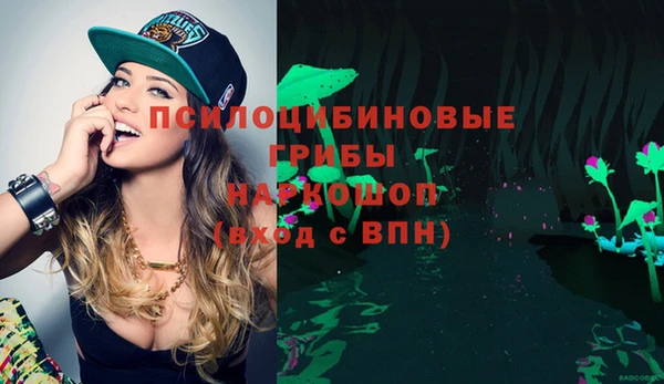 2c-b Абдулино