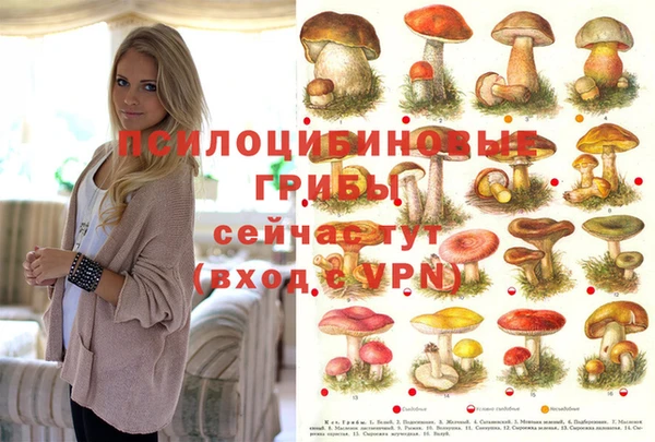 спайс Абинск